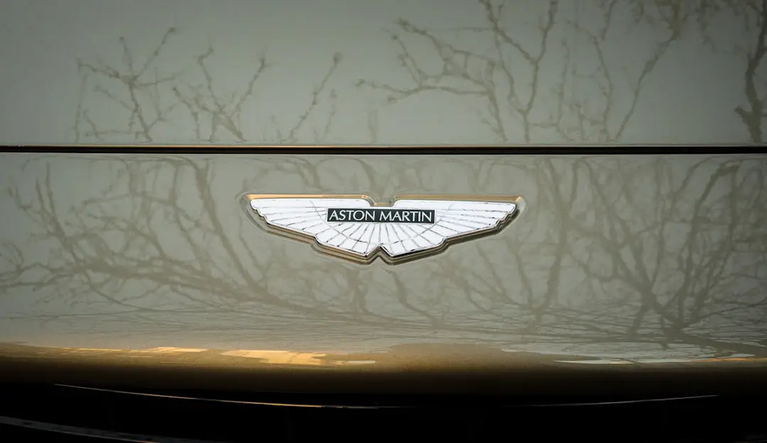 a close up of the emblem on the front of a car
